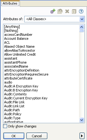 Identity Vault attributes