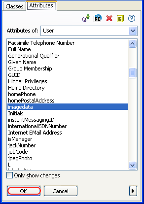 Launching the Hex editor by selecting the attribute