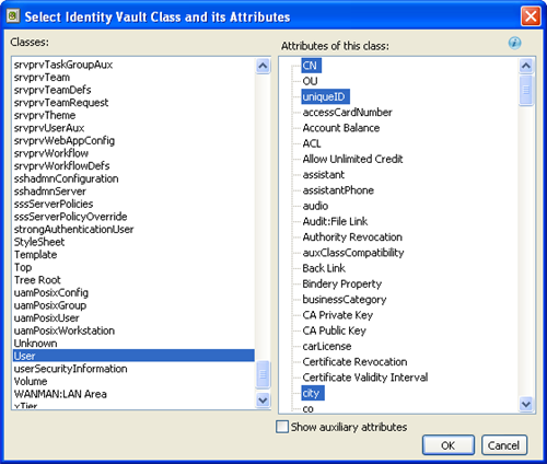 Adding a class to the Identity Vault and the connected system