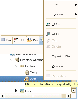 Editing the User Entity