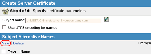 Creating a new Subject Alternative Name