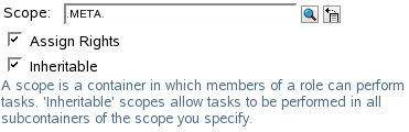 Defining the scope of the role