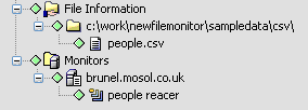 The File Information and Monitors Elements