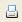Quick Print icon